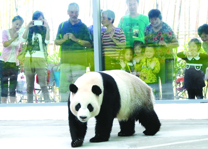 苏州太湖国家湿地公园景色诱人 成为生态休闲旅游新地标