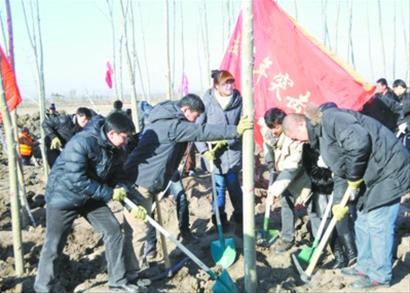 盘山县甜水镇南郭村绿化现场