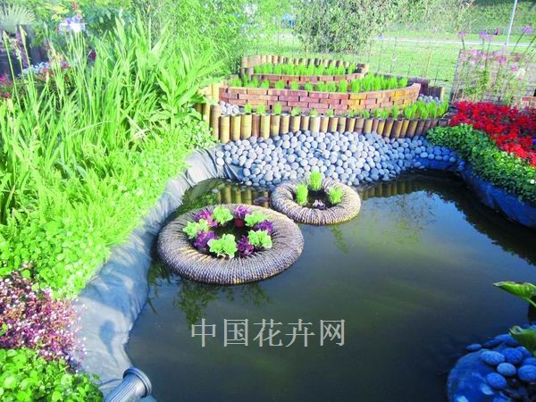 缤纷庭院利用水景送清凉（图）