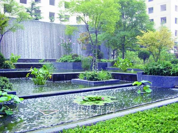 缤纷庭院利用水景送清凉（图）