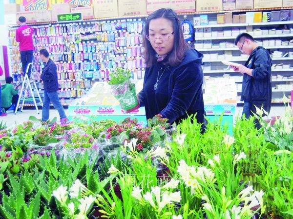 北京：超市卖场鲜花成人气商品 