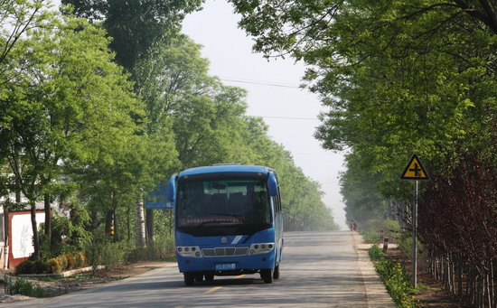 通村公路