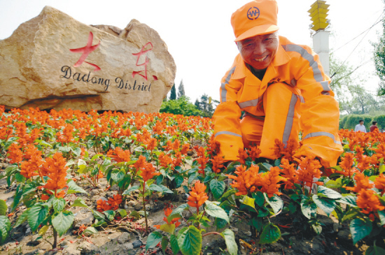 40万株花卉扮靓大东街头绿地