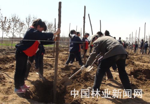 当地群众在城市景观大道进行义务植树