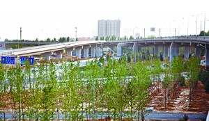 连日来，怀柔园林部门抓紧时间在雁栖湖生态发展示范区和滨河森林公园进行植树造林和绿化美化工作，并对已植树木进行支架添设和涂白养护