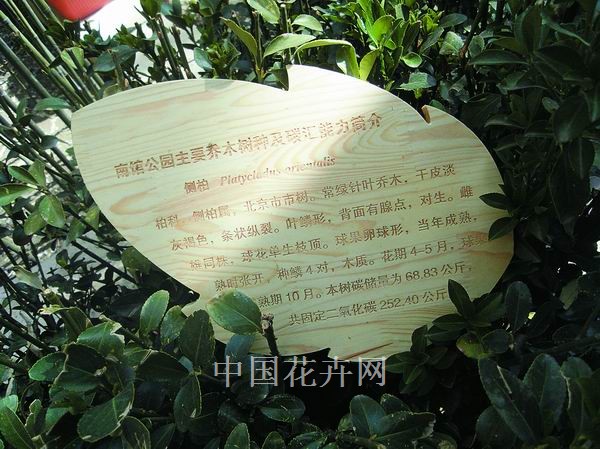 精致美观的特色标牌 特色资材（图）