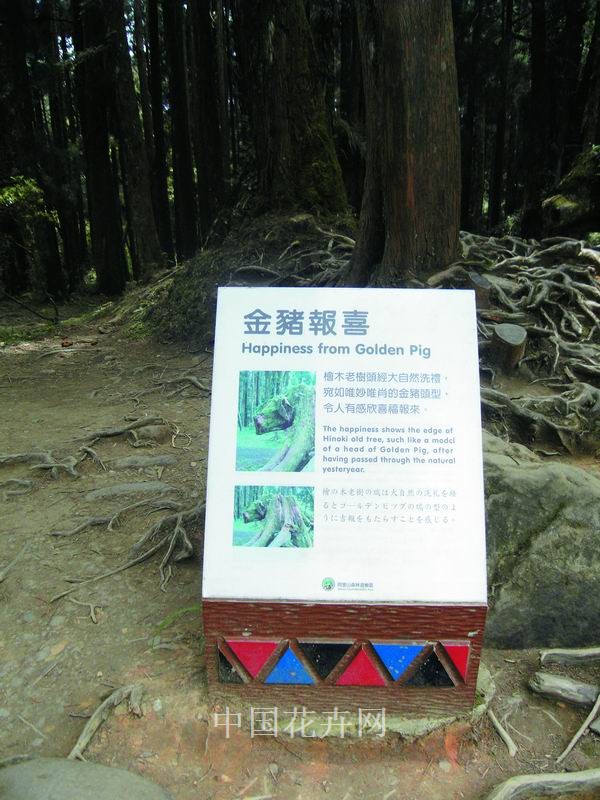 精致美观的特色标牌 特色资材（图）