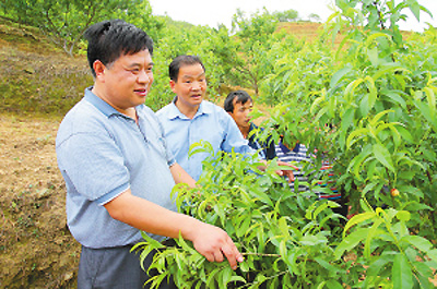 曾馥平（左一）在环江毛南族自治县思恩镇肯福区对异地搬迁过来的村民进行回访