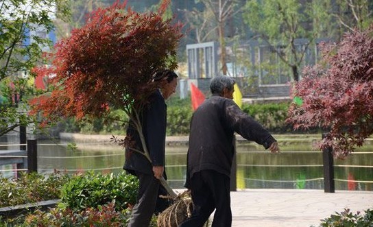 市委书记赵鹏视察天澜湾 大力赞赏其小区绿化