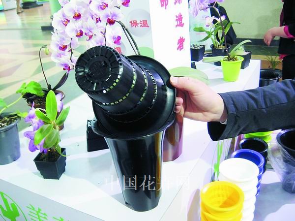 图为控根花盆