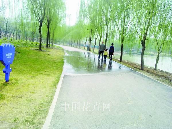 北京大兴区：公园这样喷灌太浪费（图）