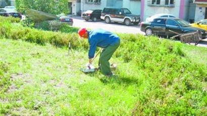 锦州市古塔区星汇园社区居民在义务保洁