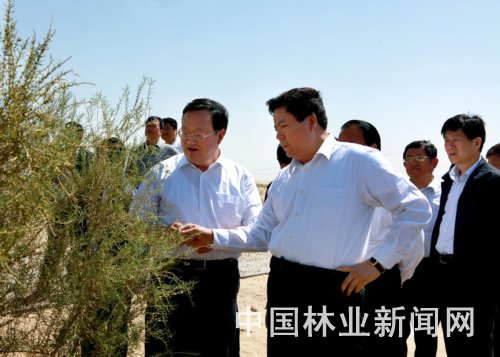 国家林业局局长赵树丛在民勤调研防沙治沙