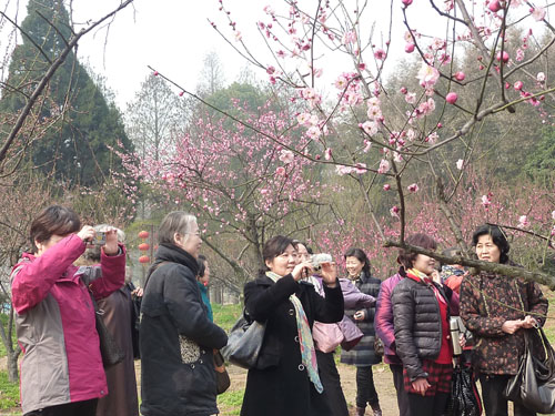 东湖花似锦，出门俱是看花人