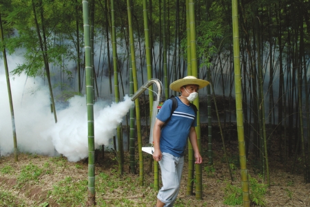 竹农在南充市高坪区斑竹乡林区喷洒灭虫烟雾。