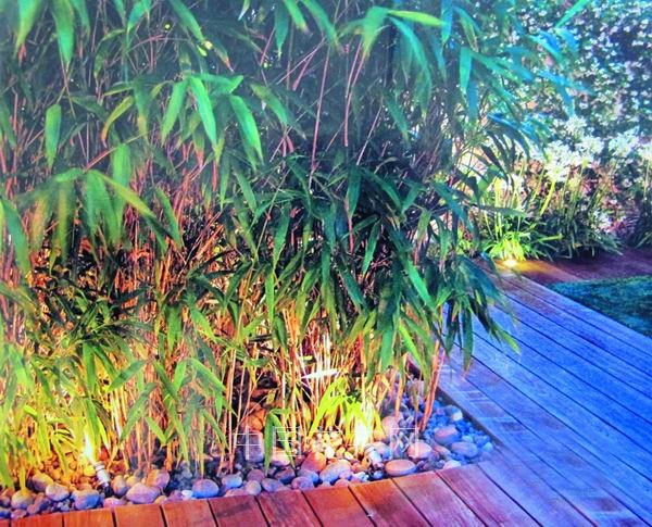 种植床内的地埋灯在照亮竹丛的同时也给木栈道送来光亮。