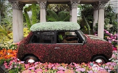 成为名符其实的“花车”的minicooper。