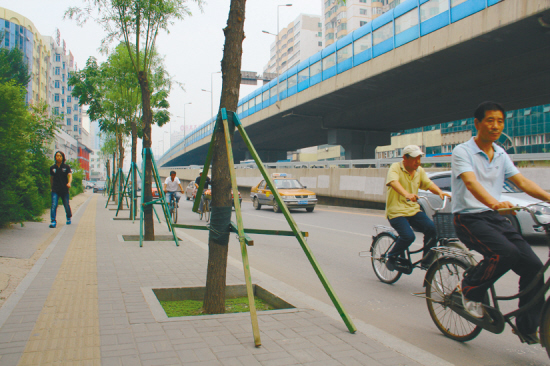 沈阳市：多处护树设施被损坏（图）