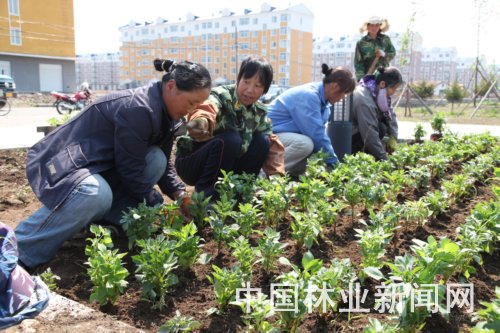 施工种植现场