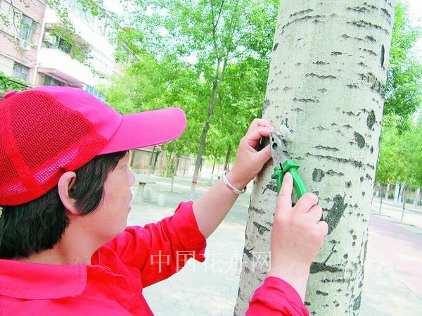 华北油田以虫治虫防治植物病虫害危害