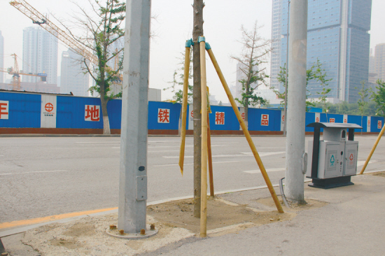 沈阳市：多处护树设施被损坏（图）