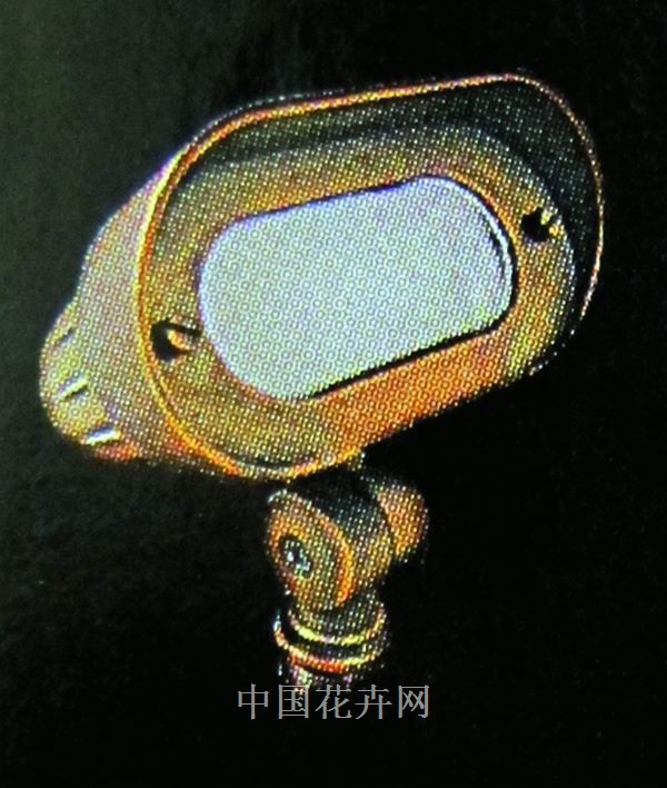 黄铜卵形探照灯是满足光线向上照射要求的上选。