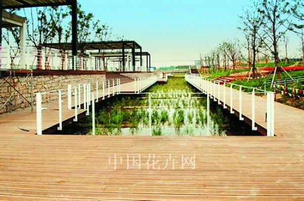 竹地板用于上海后滩公园