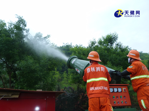 大连市林业有害生物处高发态势 防治形势严峻