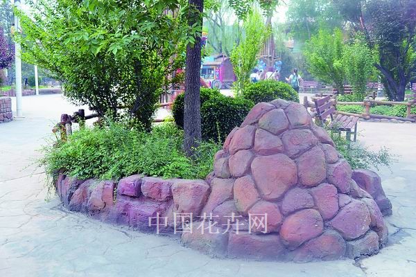 北京欢乐谷为植物营造特色的家（图）