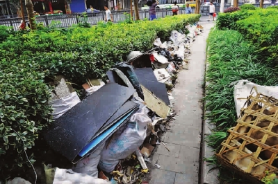上海：绿化道成了垃圾道 散发出阵阵臭味（图）