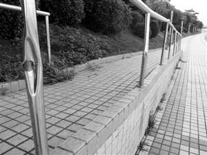 长堤东路亲水平台