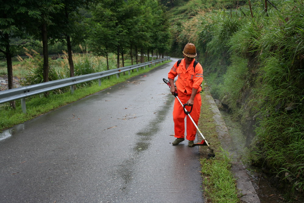 浙江：庆元农村公路用上了割草机（图）