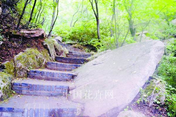 北京森林公园就地取材营造生态坡道（图）