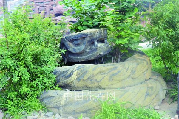 北京欢乐谷为植物营造特色的家（图）