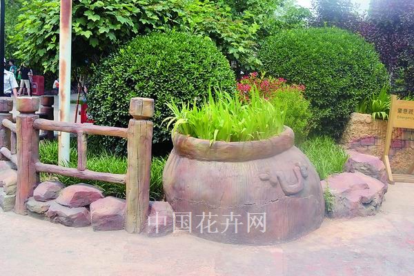 北京欢乐谷为植物营造特色的家（图）