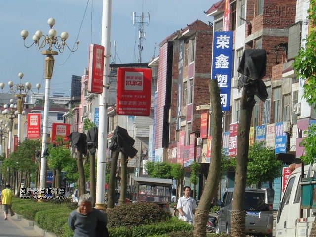 道路两旁新移植的绿化树