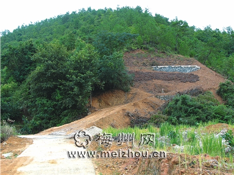 梅州：毁林地欲建“生人墓” 已被勒令停建