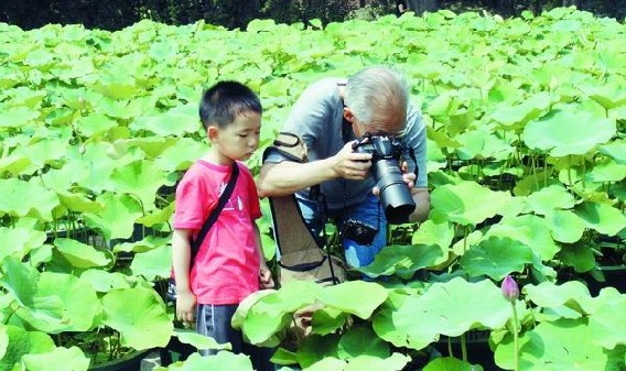 爷孙两人在北京莲花池公园赏荷