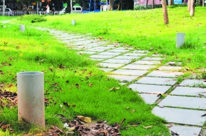 广州越秀区街心花园十多盏地灯被偷（图）