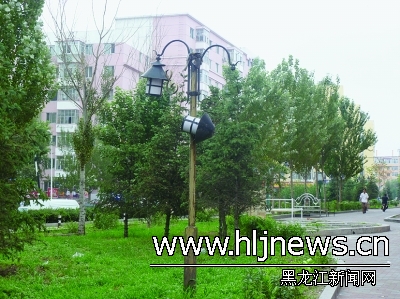 哈市道里区地道街街心公园一景观灯受伤