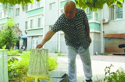 韩玉民自制了一款“灭蝇密室”，成为了抓捕蚊蝇的“好手”。