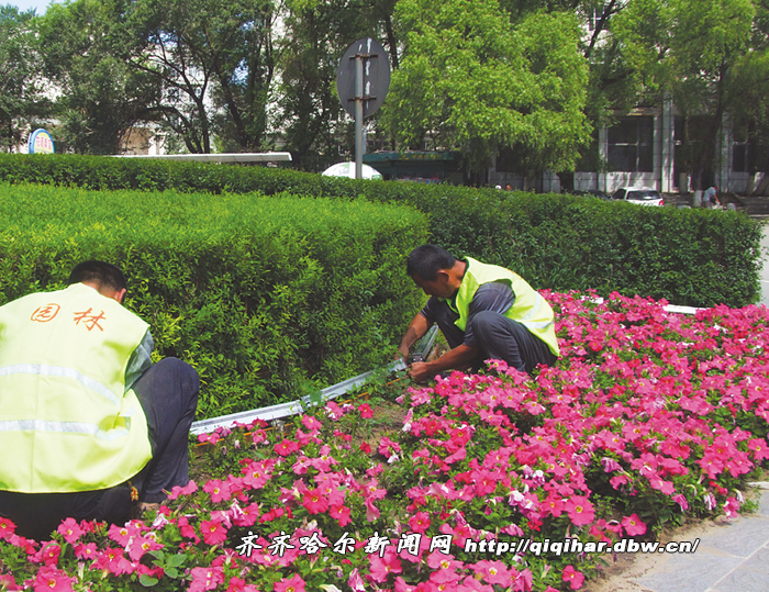 齐齐哈尔：安500盏景观灯夜晚放光彩