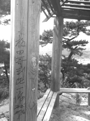 鞍山：木制凉亭惨遭乱涂乱刻（图）
