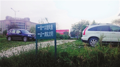 宁夏：银川市绿化带不是私家车停车位