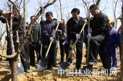 山西省省长王君（中）参加植树