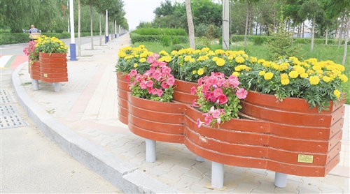 包头：移动花箱“添靓”滨河新区（图）