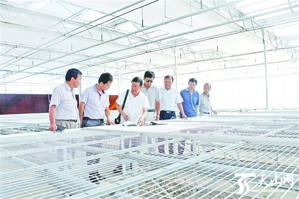 阿克苏地区及温宿县农业、园艺等部门负责人及工作人员在查看智能化育苗温室质量情况。