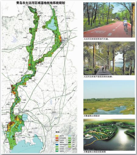 青岛：新添八公园湿地成“诗地” 百种植物扮靓大沽河