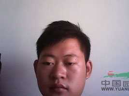 郴州宏达草皮苗木基地