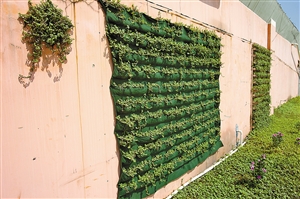 墙面立体种植"绿地贴"